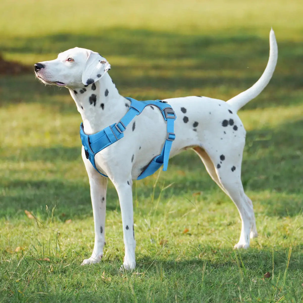 Dog Safety harness No-pull Function Type Durable and comfortable Pet Harness For puppy medium and large dogs 3M Reflective Dog by eprolo