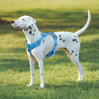 Dog Safety harness No-pull Function Type Durable and comfortable Pet Harness For puppy medium and large dogs 3M Reflective Dog by eprolo