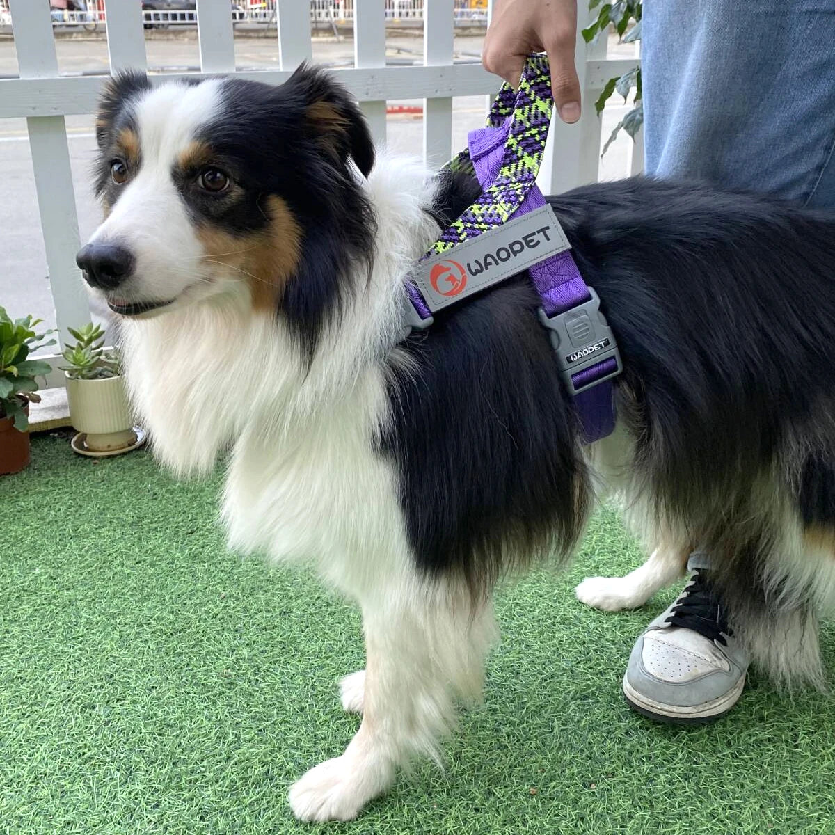 TrailPaw Trailblazer No-Pull Reflective Dog Harness