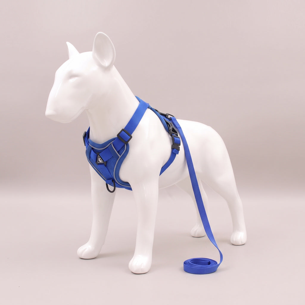 TrailPaw Reflective Mesh Dog Harness & Leash Set - Blue