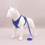 TrailPaw Reflective Mesh Dog Harness & Leash Set - Blue