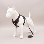 TrailPaw Reflective Mesh Dog Harness & Leash Set - Coffee