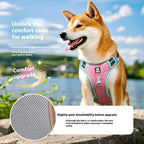 TrailPaw No-Escape Reflective Dog Harness & Leash Set