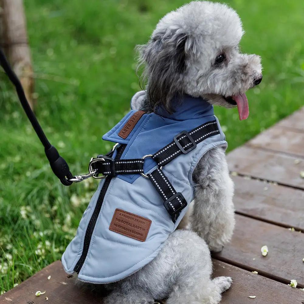 Pet Dog Clothes Warm and Thickened Autumn and Winter Two legged Teddy Bears Pomeranian Schnauzer Small Dog Vest by eprolo