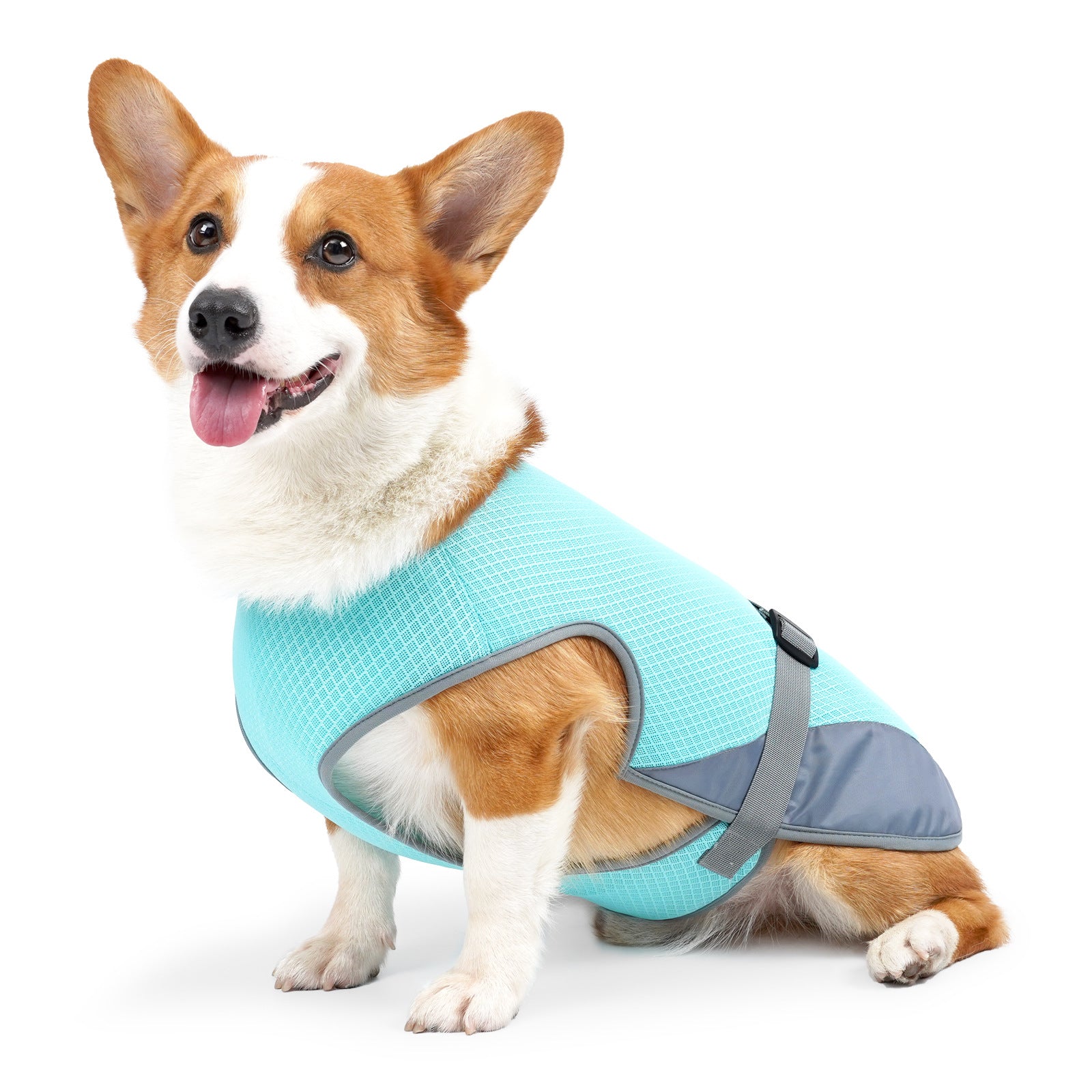 TrailPaw Cooling Dog Vest Harness