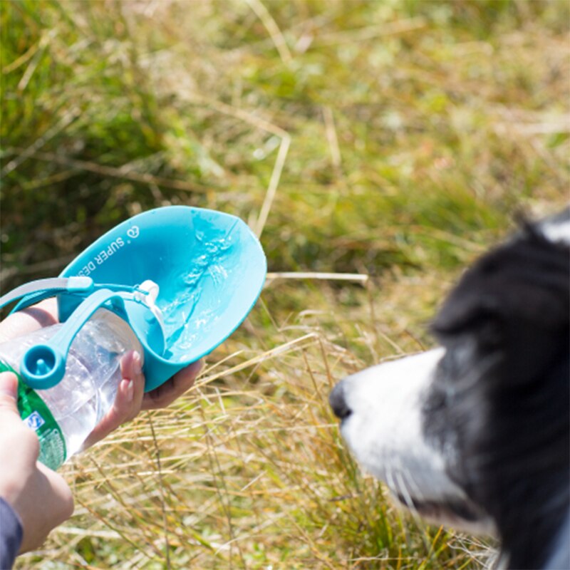 TrailPaw Leaf 580ml Portable Dog Water Bottle