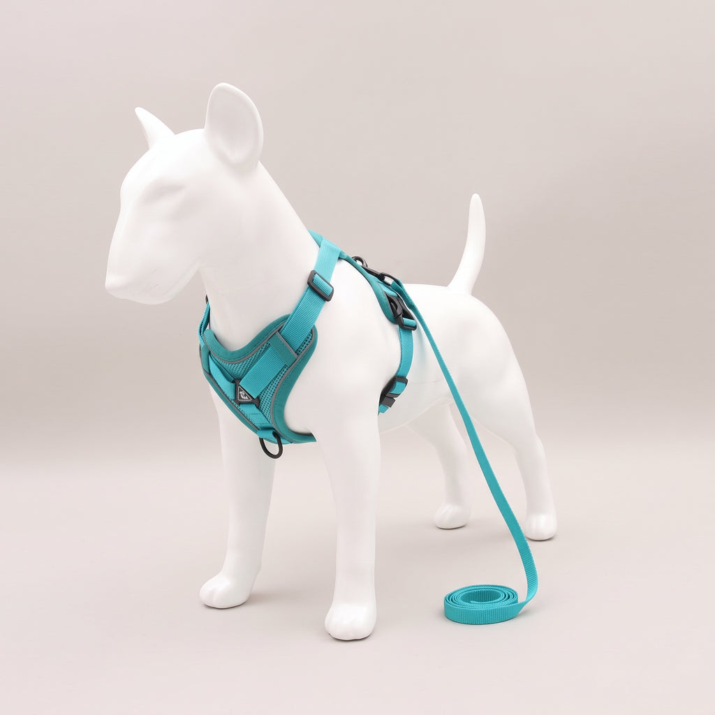 TrailPaw Reflective Mesh Dog Harness & Leash Set - Lake Blue