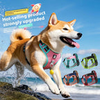 TrailPaw No-Escape Reflective Dog Harness & Leash Set