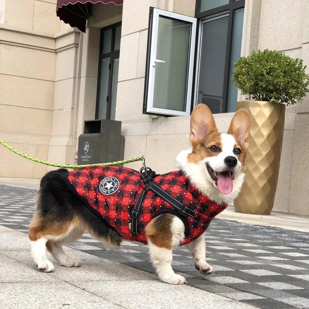 TrailPaw Reflective Winter Dog Coat by eprolo