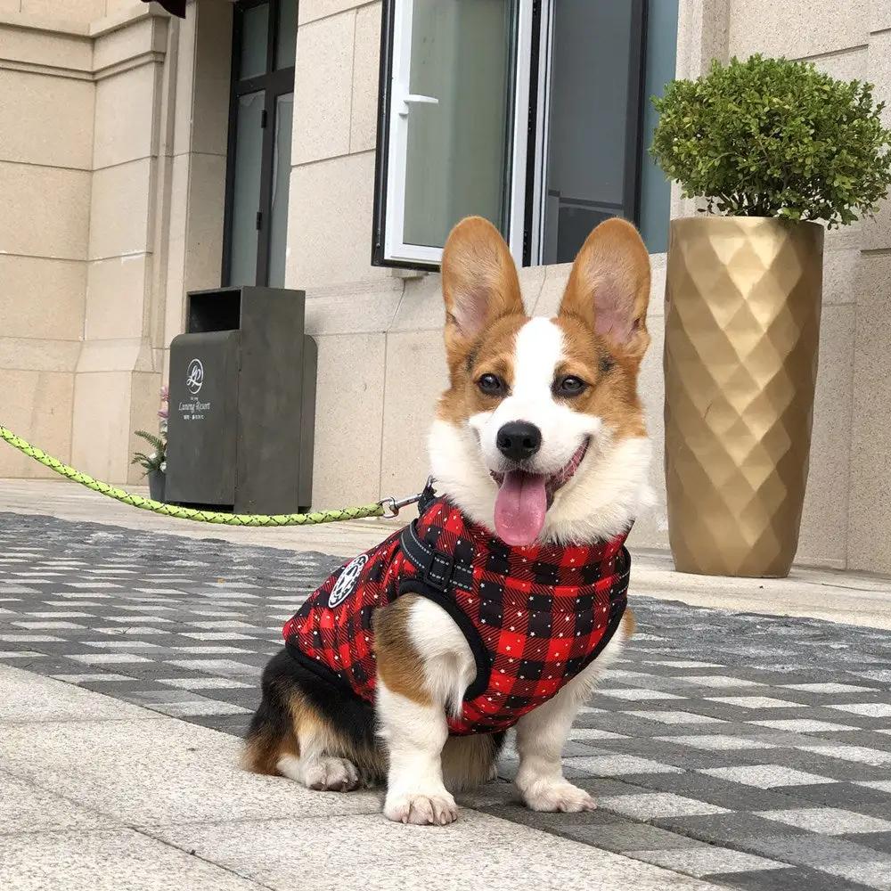TrailPaw Reflective Winter Dog Coat by eprolo