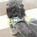 TrailPaw No-Pull Reflective Padded Dog Harness Set