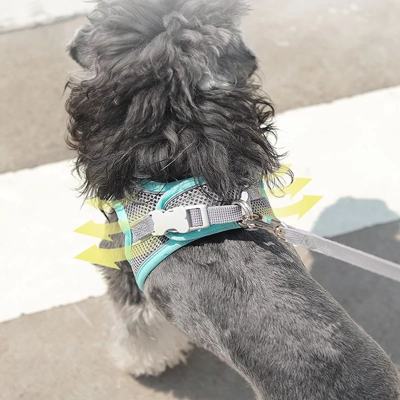 TrailPaw No-Pull Reflective Padded Dog Harness Set
