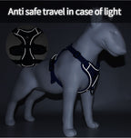TrailPaw Reflective Breathable Dog Harness & Leash Set