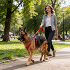 TrailPaw Trailblazer No-Pull Reflective Dog Harness