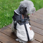 Pet Dog Clothes Warm and Thickened Autumn and Winter Two legged Teddy Bears Pomeranian Schnauzer Small Dog Vest by eprolo