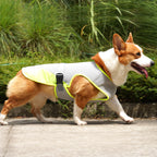 TrailPaw Cooling Dog Vest Harness