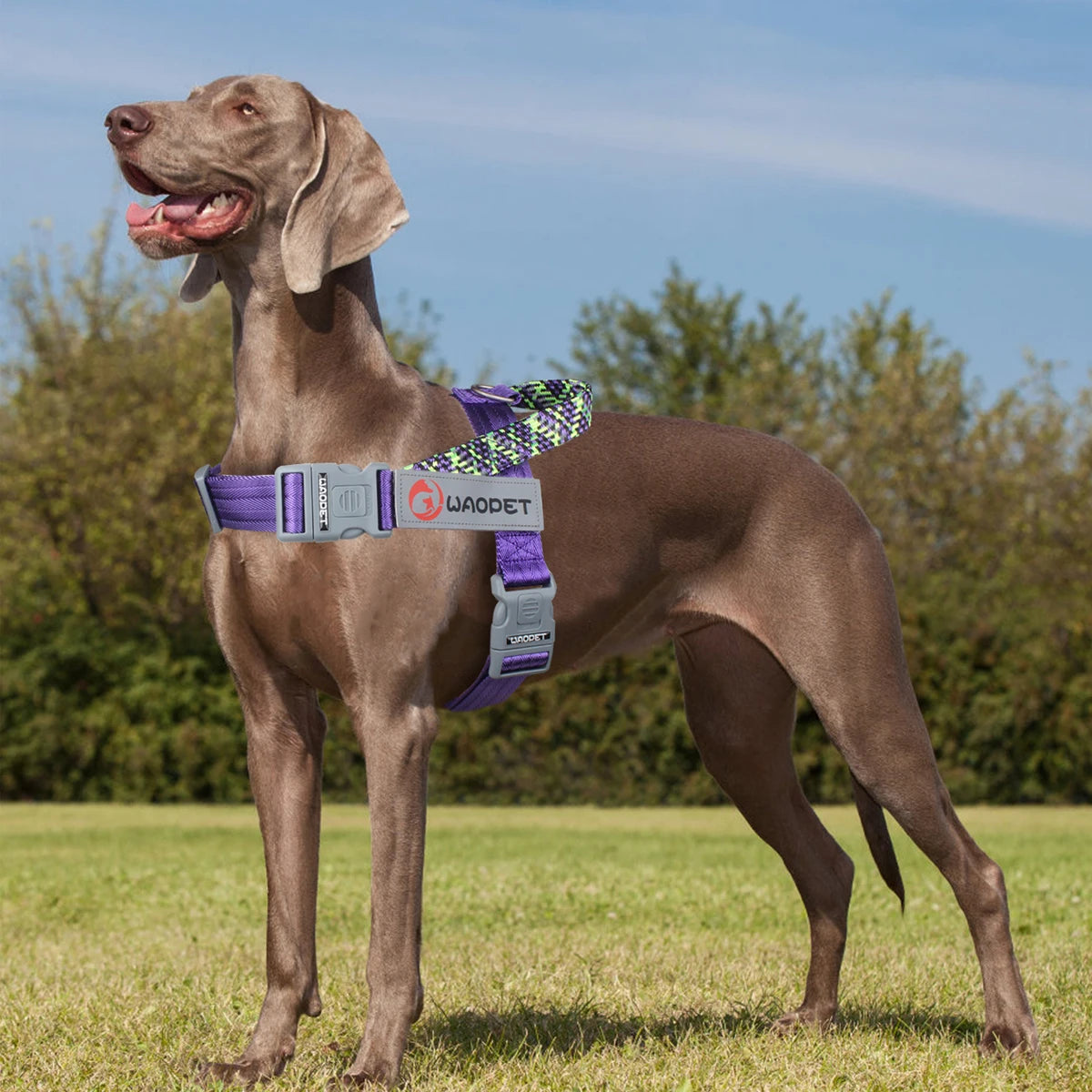 TrailPaw Trailblazer No-Pull Reflective Dog Harness