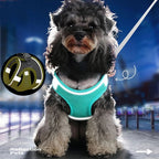 TrailPaw No-Pull Reflective Padded Dog Harness Set