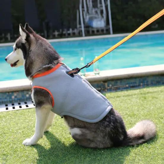 Truelove Winter And Summer Pet Dog Cool Clothes Cooling And Warm Mesh Cloth Breathable And Absorbent Clothes by eprolo