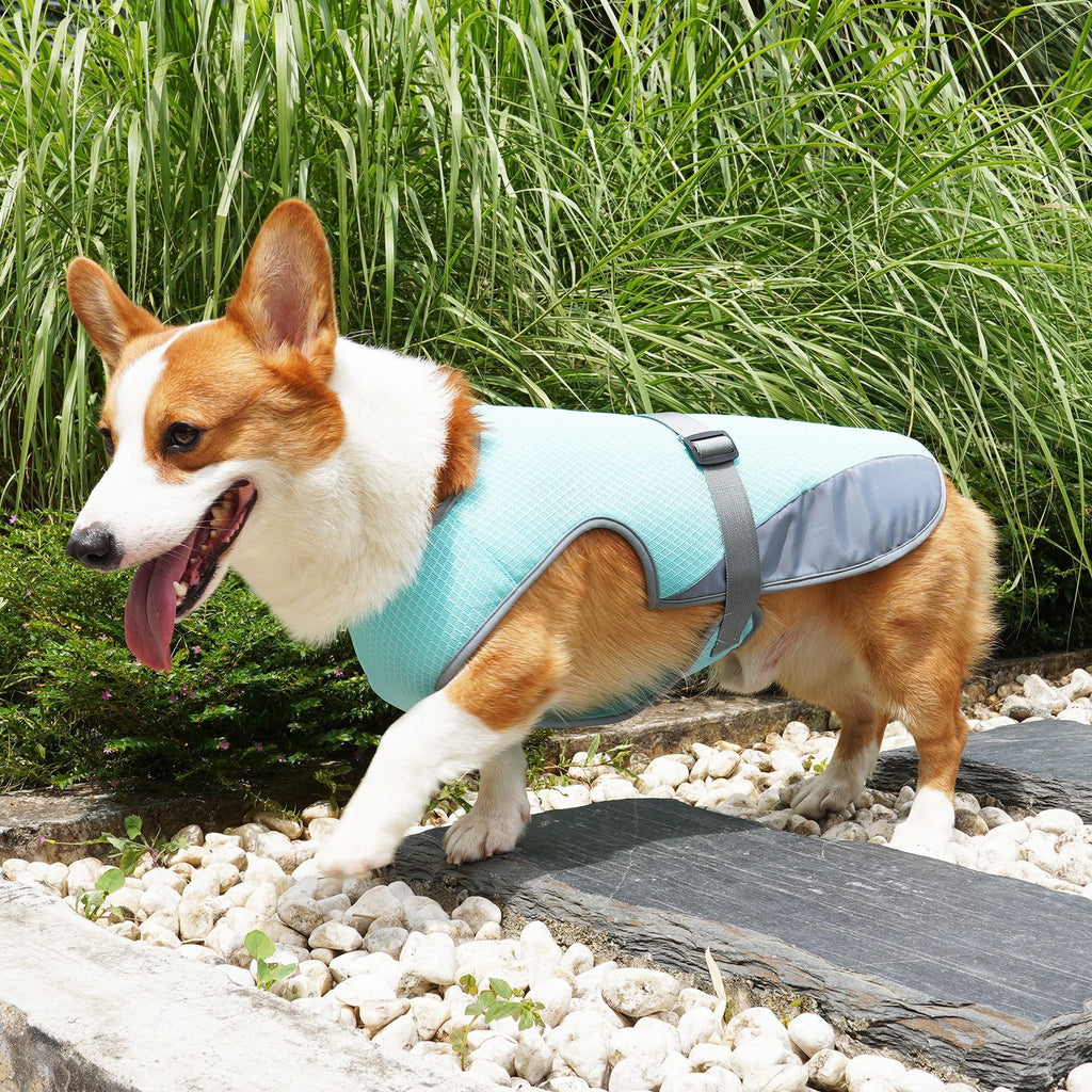 TrailPaw Cooling Dog Vest Harness