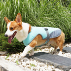 TrailPaw Cooling Dog Vest Harness