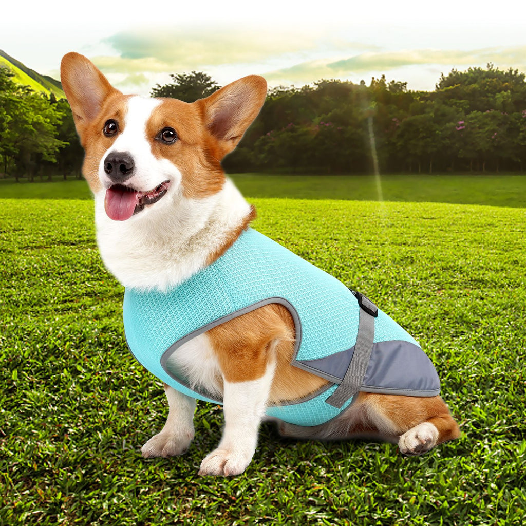 TrailPaw Cooling Dog Vest Harness
