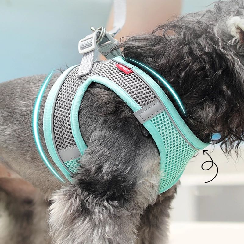 TrailPaw No-Pull Reflective Padded Dog Harness Set