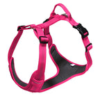 TrailPaw Trailblazer No-Pull Reflective Dog Harness
