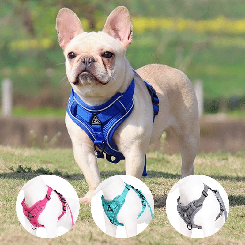 TrailPaw Reflective Breathable Dog Harness & Leash Set