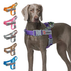 TrailPaw Trailblazer No-Pull Reflective Dog Harness