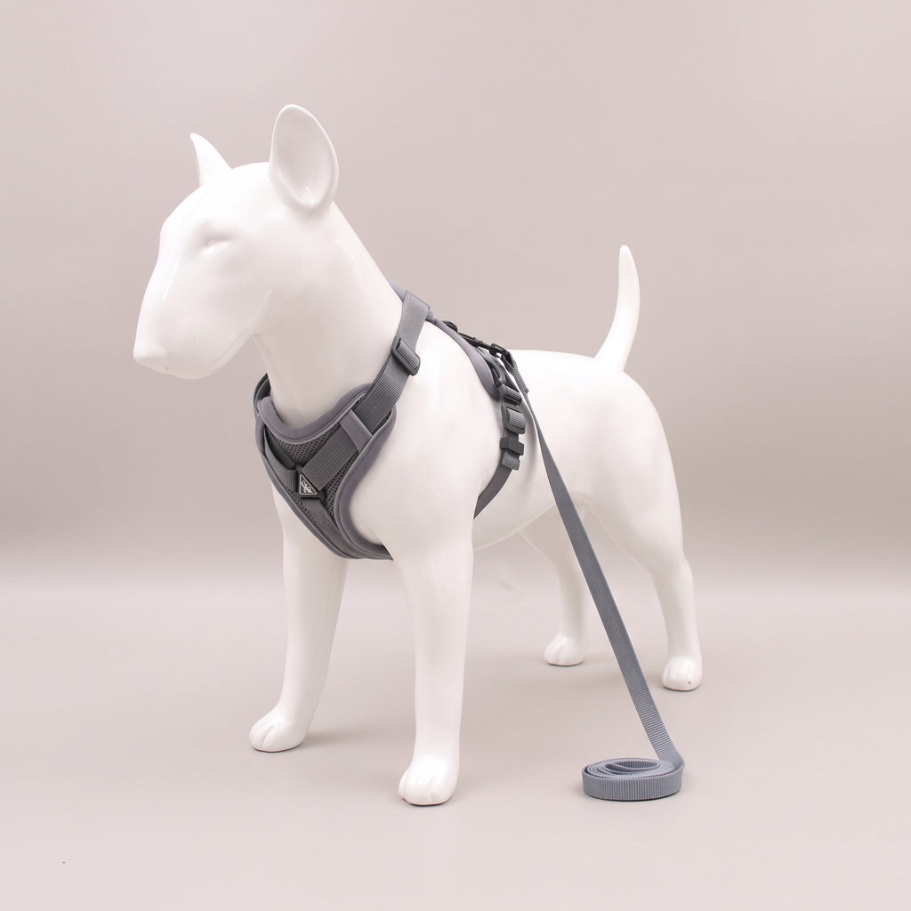 TrailPaw Reflective Mesh Dog Harness & Leash Set - Grey