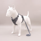 TrailPaw Reflective Mesh Dog Harness & Leash Set - Grey