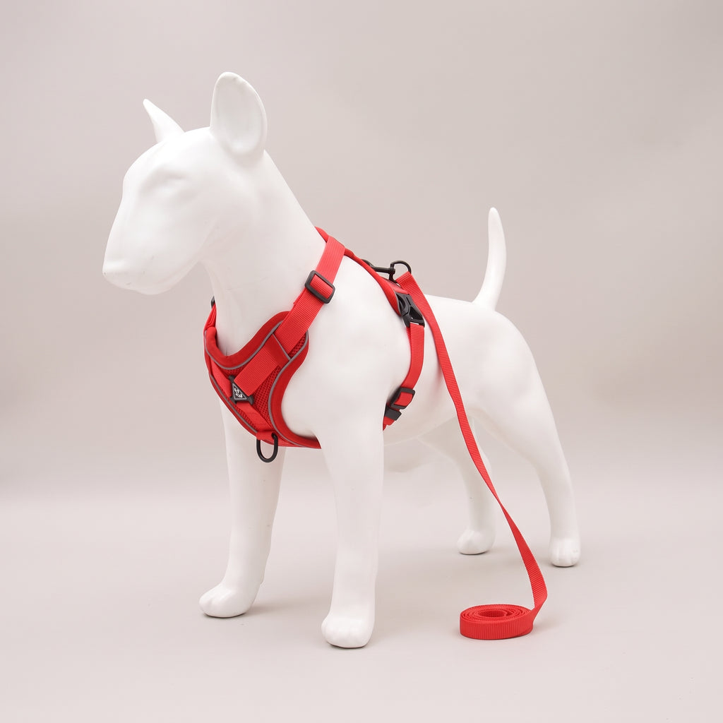 TrailPaw Reflective Mesh Dog Harness & Leash Set - Red
