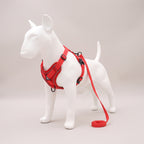 TrailPaw Reflective Mesh Dog Harness & Leash Set - Red