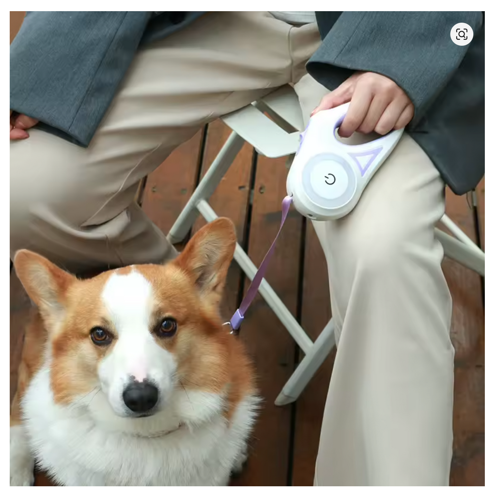 TrailPaw Glow Retractable Dog Leash