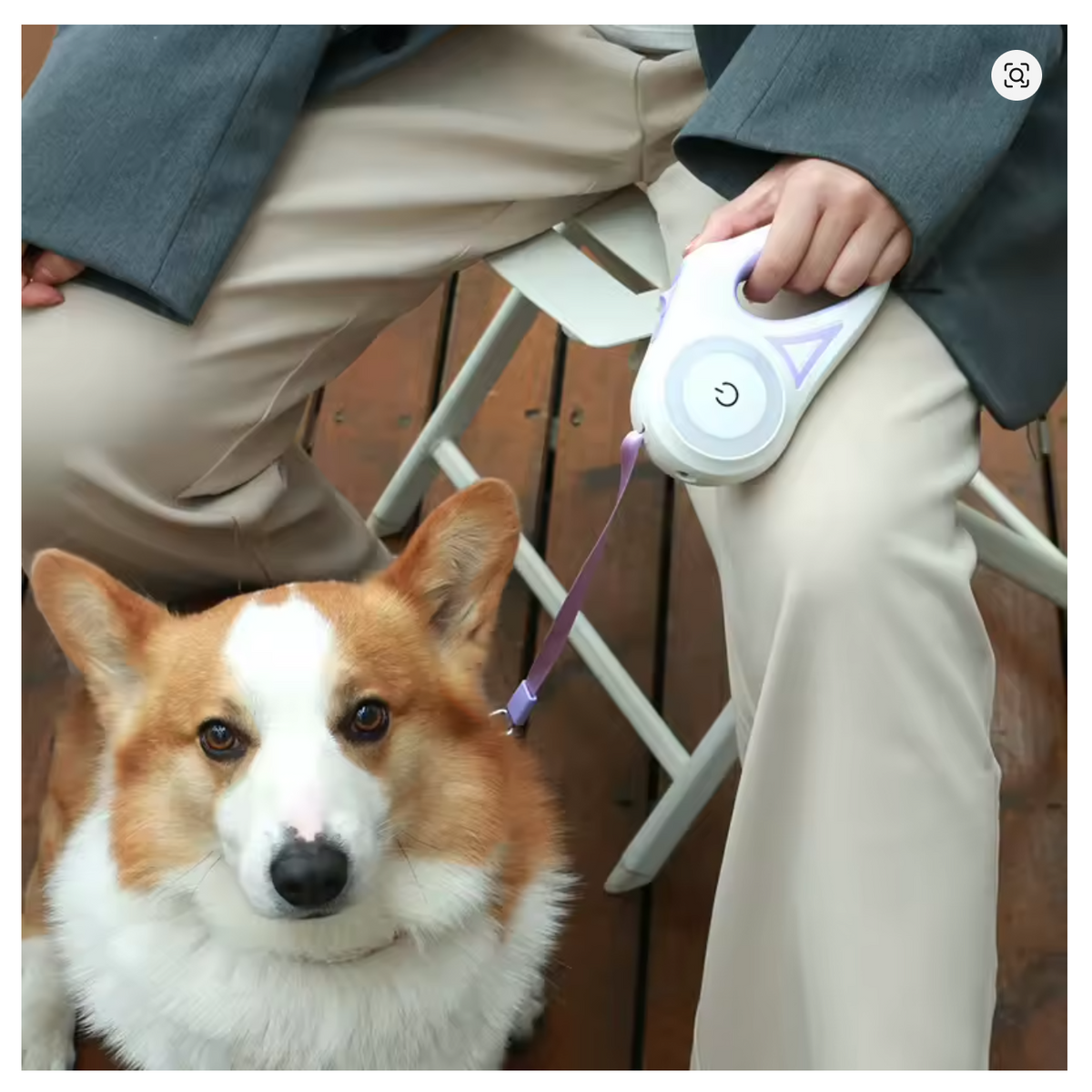 TrailPaw Glow Retractable Dog Leash