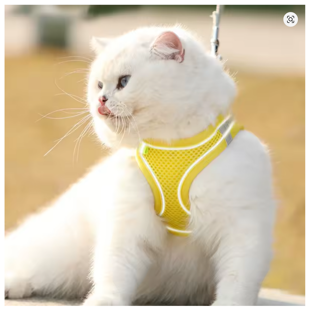 TrailPaw Reflective Mesh Harness & Leash Set