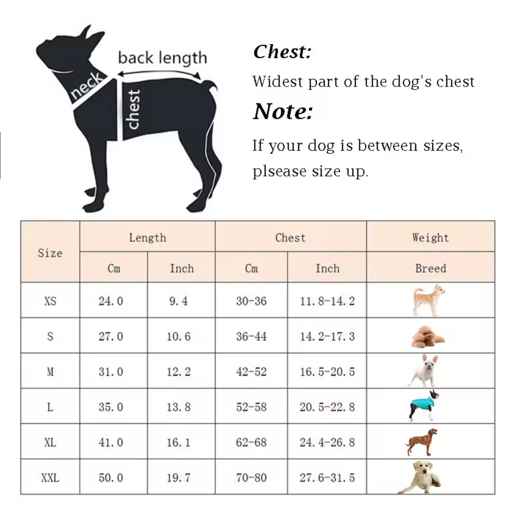 TrailPaw Reflective Dog Vest — Lightweight, High Visibility