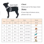 TrailPaw Reflective Dog Vest — Lightweight, High Visibility