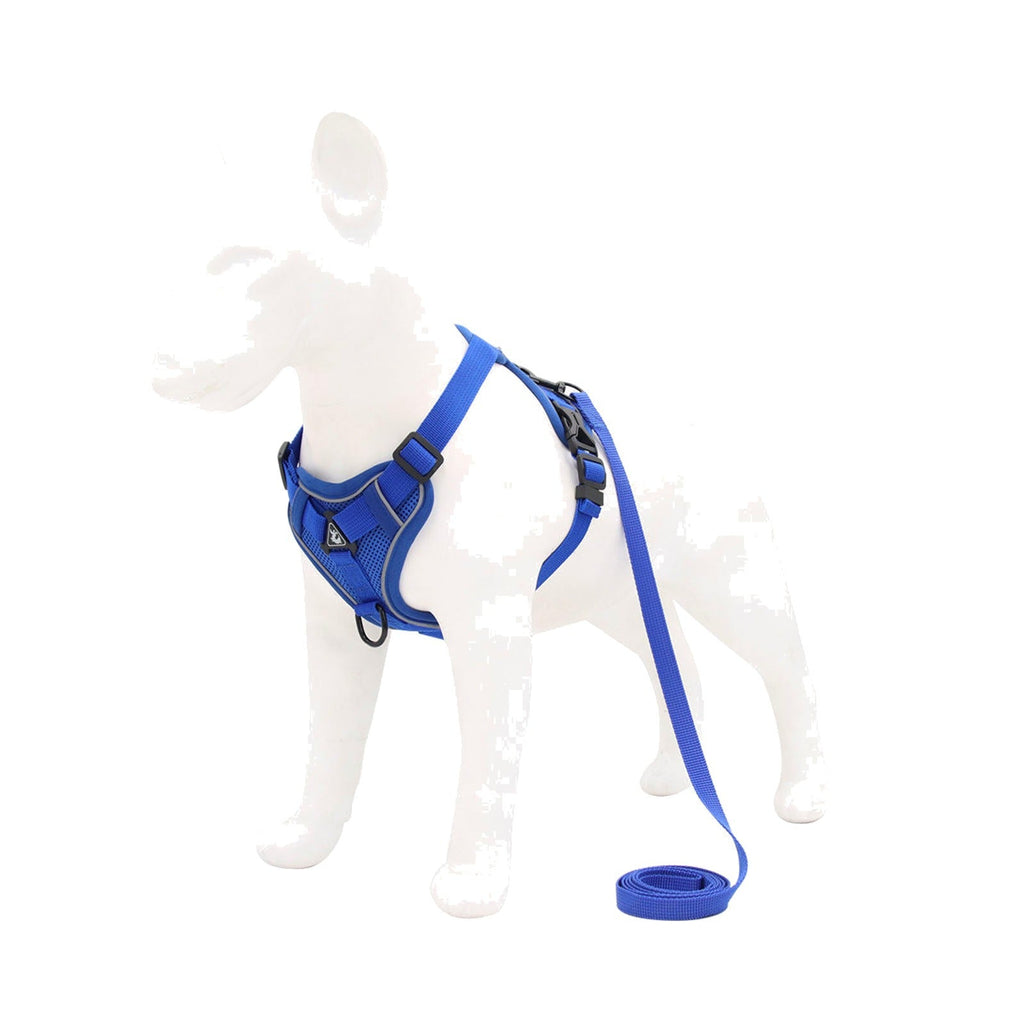 TrailPaw Reflective Breathable Dog Harness & Leash Set