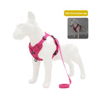 TrailPaw Reflective Breathable Dog Harness & Leash Set
