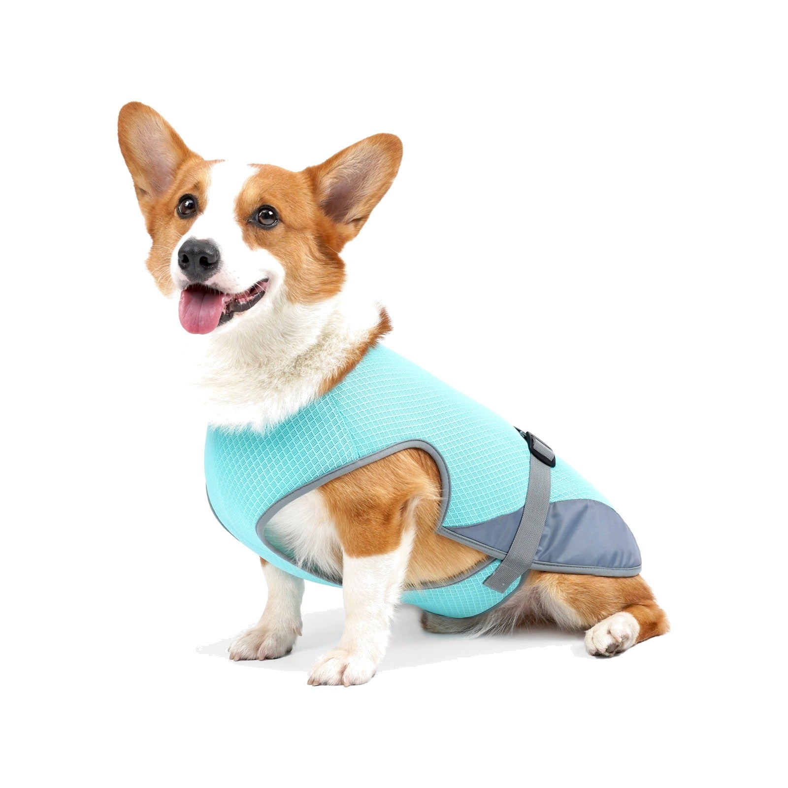 TrailPaw Cooling Dog Vest Harness