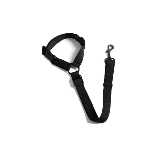 TrailPaw 2-in-1 Dog Car Seat Belt & Leash