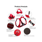 TrailPaw Trailblazer No-Pull Reflective Dog Harness