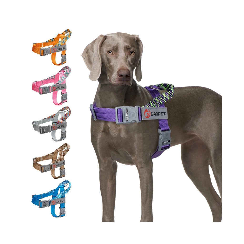 TrailPaw Trailblazer No-Pull Reflective Dog Harness