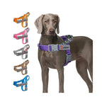 TrailPaw Trailblazer No-Pull Reflective Dog Harness