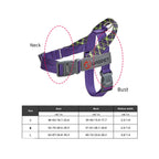 TrailPaw Trailblazer No-Pull Reflective Dog Harness