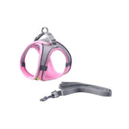 TrailPaw Reflective Mesh Harness & Leash Set