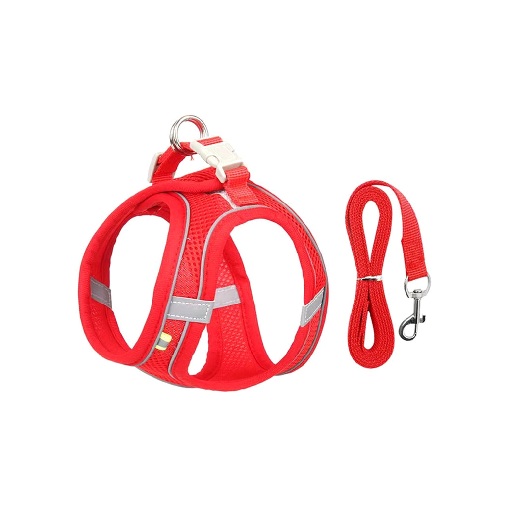 TrailPaw Reflective Mesh Harness & Leash Set